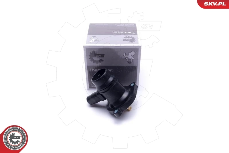 Thermostat, coolant